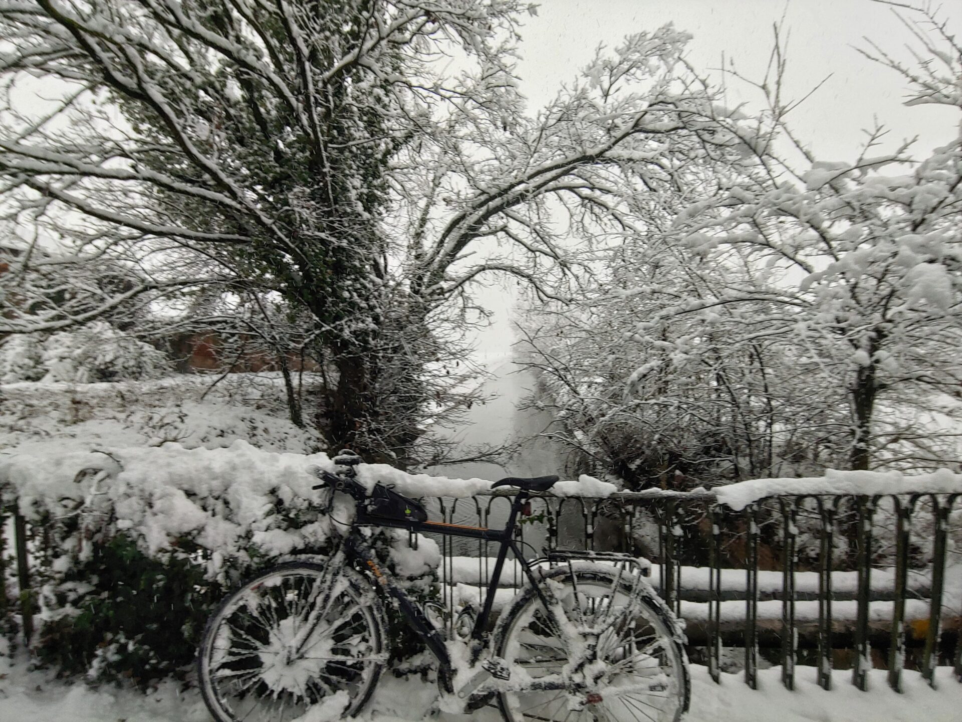 Nevica… vuoi non fare un giro in bici?